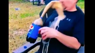 funny moments