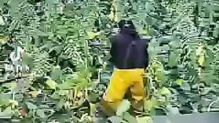 #This is how we make a living in the USA ???????? this is how our American dream begins#9947Asim#