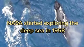 why NASA stopped exploring the ocean