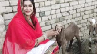 Aliza Sahar vlogs video