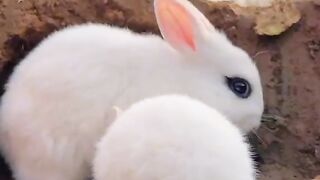 cute funny