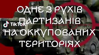 БЕРДЯНСКА ПАРТИЗАНСКА АРМИЯ