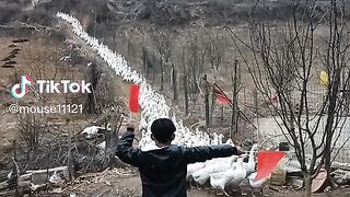 Ducks