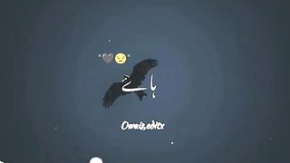 Songs