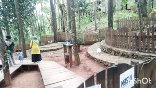 Wisata glamping Mangunan diyogyakarta Paling indah