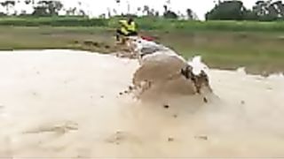 Ikan besar,Menangkap ikan besar