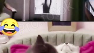 ????????????????????????????????❤️????