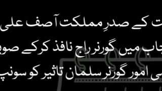 آ صف علی زرداری نے اپنے دور حکومت میں پنجاب کے کے انتظامی امور کس کو سونپے #hdnews #shorts