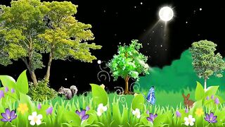beautiful night and Moon