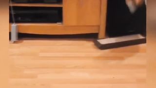Funny video