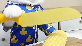 Funny Video