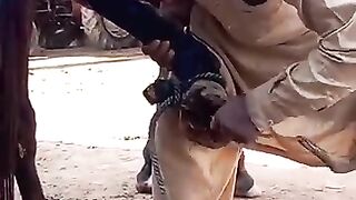 Good_Work_????????????