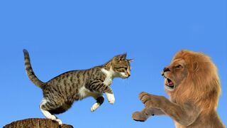 Funny Cats & Dogs Playing | Best Animal Fails Compilation 2023 | Cute Kittens & Puppies | Pets Video