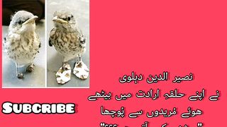 Zindgi me roshni kb ati hy ||