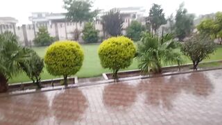 My house weather!
