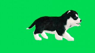 Pakistani farmer character green video /no copyright for free download