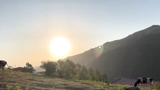 Preparation Of Tandoori Chicken With Lebane Spices And Grilled