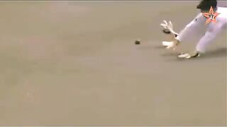 Top 7 Biggest Cheating Moments in Cricket History Ever