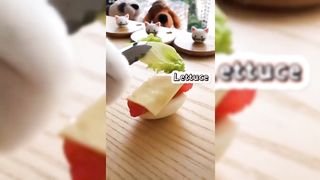 Cats Make Food 2022 Tiktok Compilation