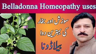 Belladonna symptoms and uses | JAVEDKHAN12485