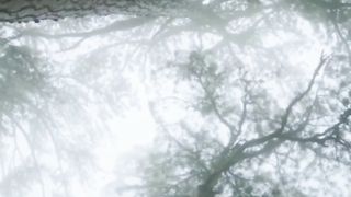New green project