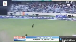 Pakistan_Vs_Australia_T20_World_Cup cricket point