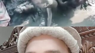 Tik Tok videos entertain