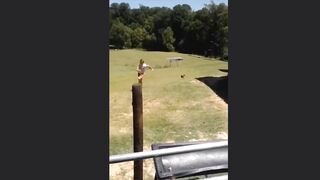 Funny crazy pets