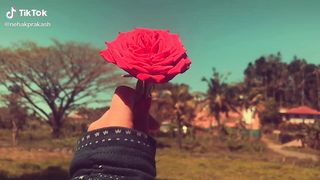 Love story