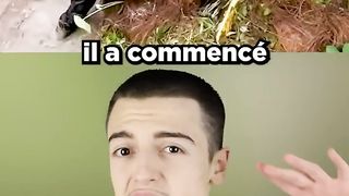 QUI SE CACHE DERRIERE CE COCOTIER