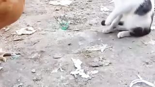 Funny