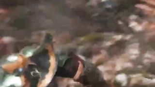 God of War 4: Kratos Playing with Blade of Chaos and Destroy Creatures