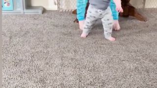 Everthing went wrong