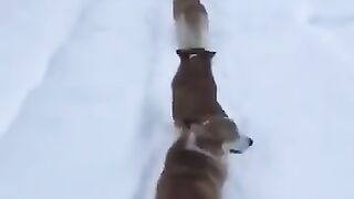 Awesome video ????