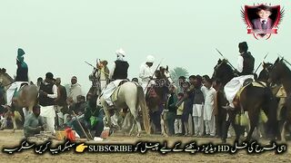 #Horses Riding part 19#jhamra#darbar#kaly#