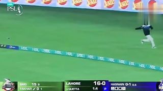 Psl highlights