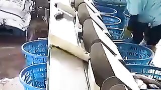 #Food Industry Machines That Are At Another Level#9947Asim#