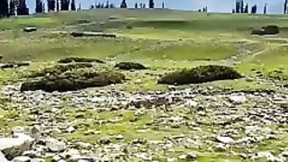Beauty of JK