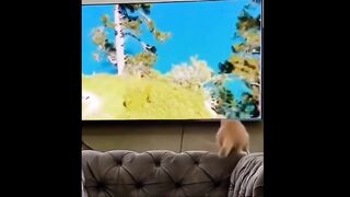 Most funny and comedy memes and tiktok ||Top 1 funny and comedy tiktok memes|| #memes#funnytiktok .