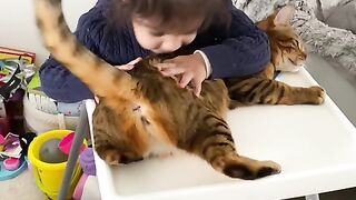 play with pet