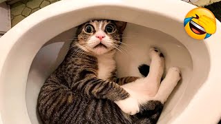 Try Not To Laugh impossible | Extreme Funny Memes