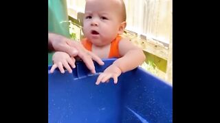 les bébés et les animaux de compagnies