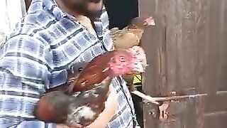 My New Vlog|New Bird