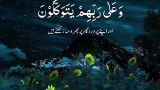 Islamic video