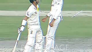 shaheen afridi and warner funny moments