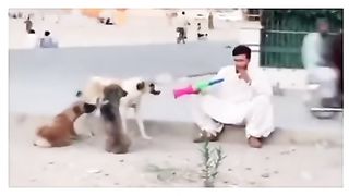 Latest full funny video # new funny clip 2023