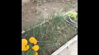 Friend House