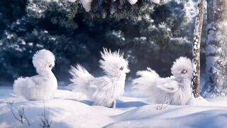 Beautiful bird and the beautiful colors #ytshorts
