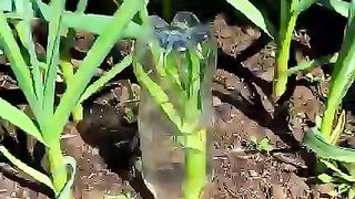 Make your backyard a hackyard with these amazing ideas & tips! ????