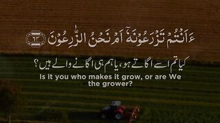 *???????? صبح کا آغاز خوبصورت تلاوت کلام پاک کے ساتھ ✨*